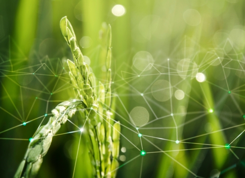 Partnerschaft Synergie Netzwerk Natur